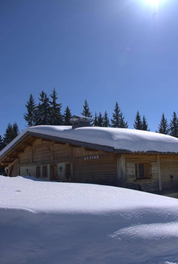 Chalet Alvine