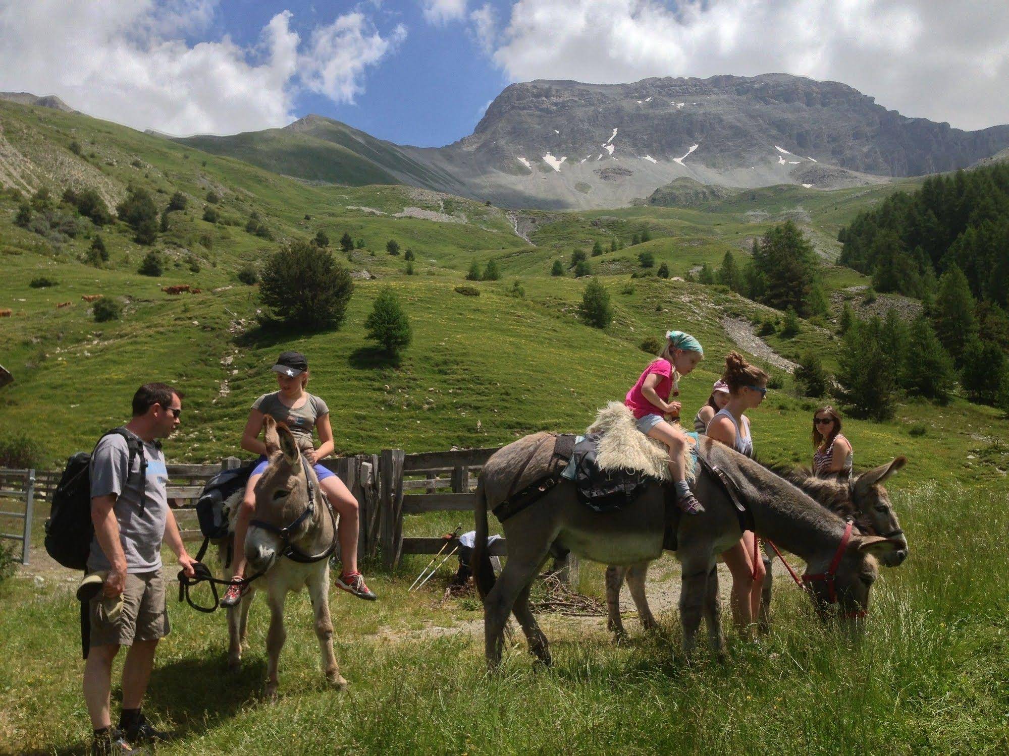 Le Domaine de L'Adoux