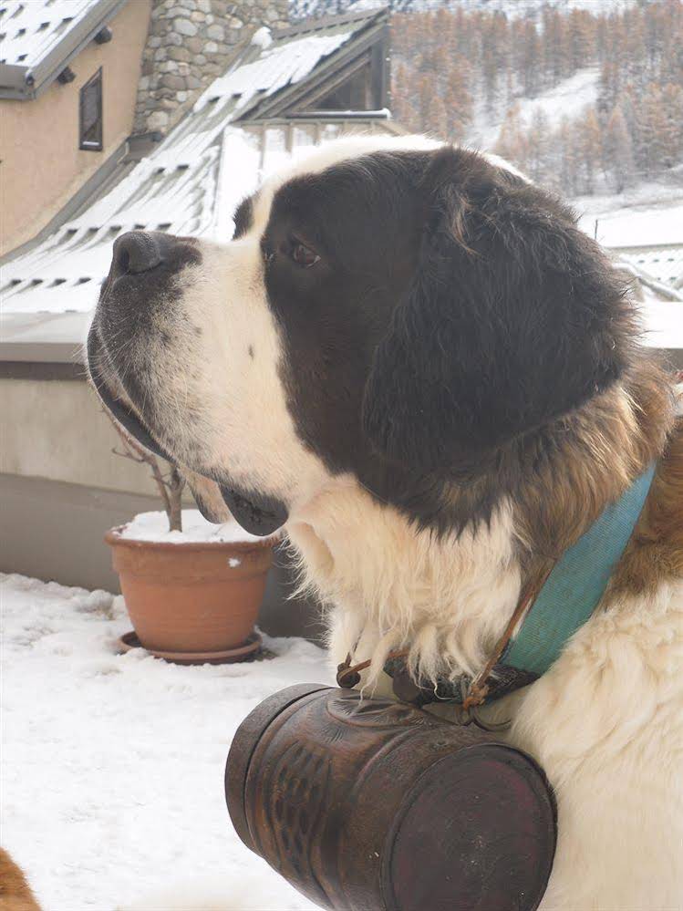 Chalet Saint Bernard