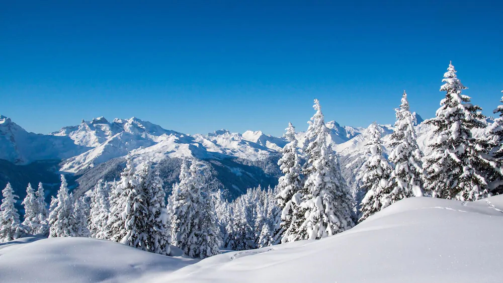 Chalet Les Sermes