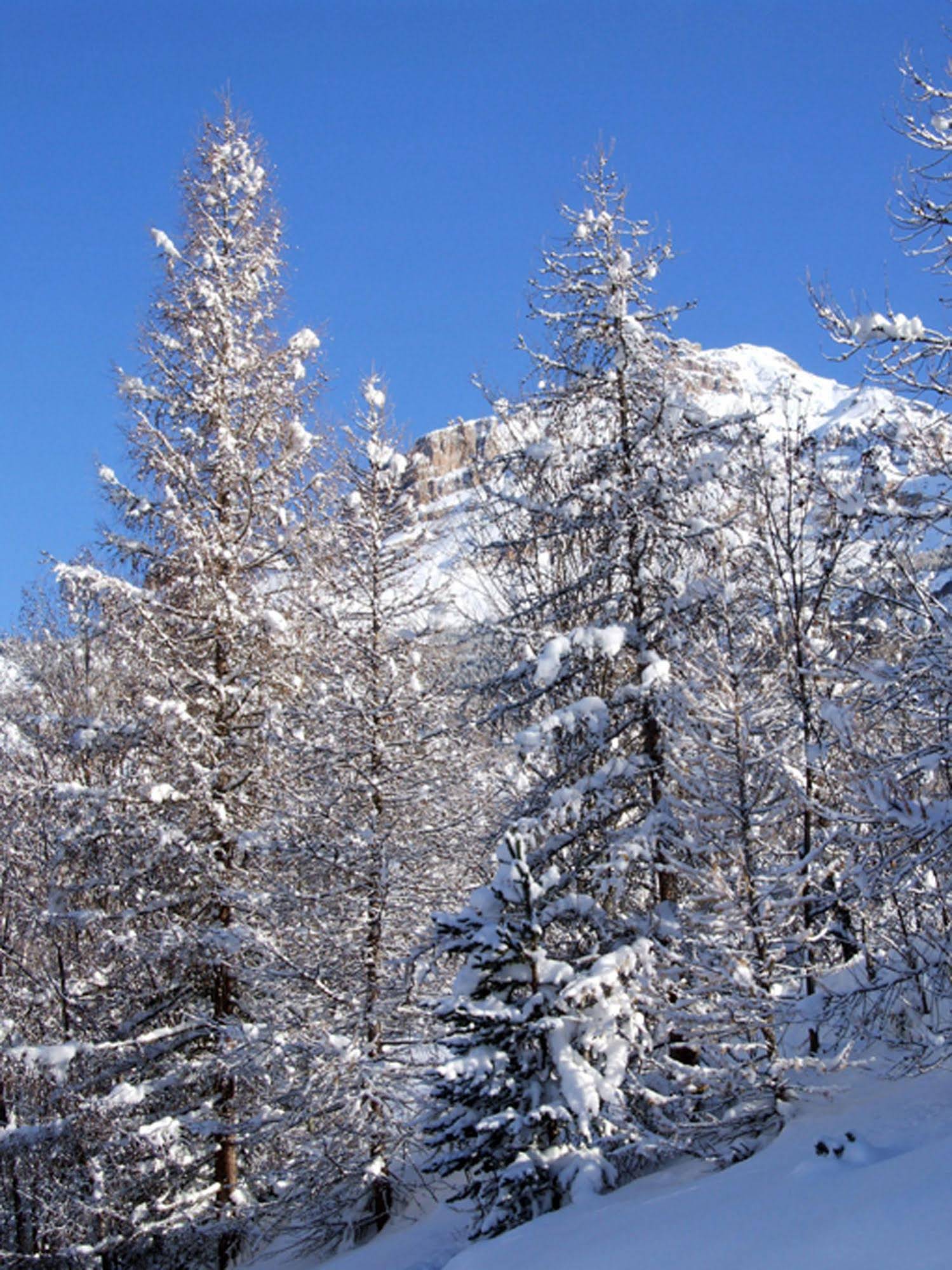 Les Ecrins D'Azur