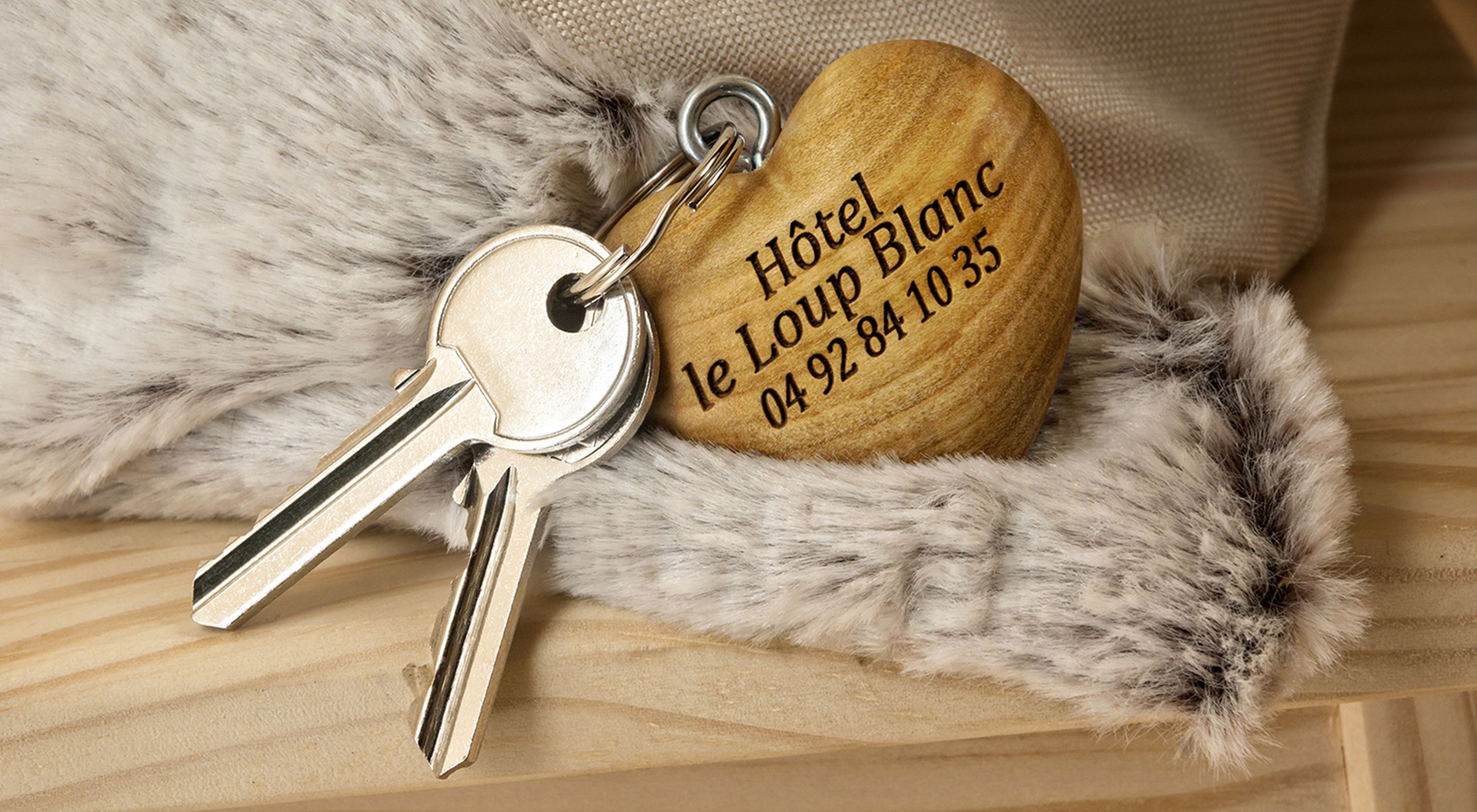 Hotel Le Loup Blanc