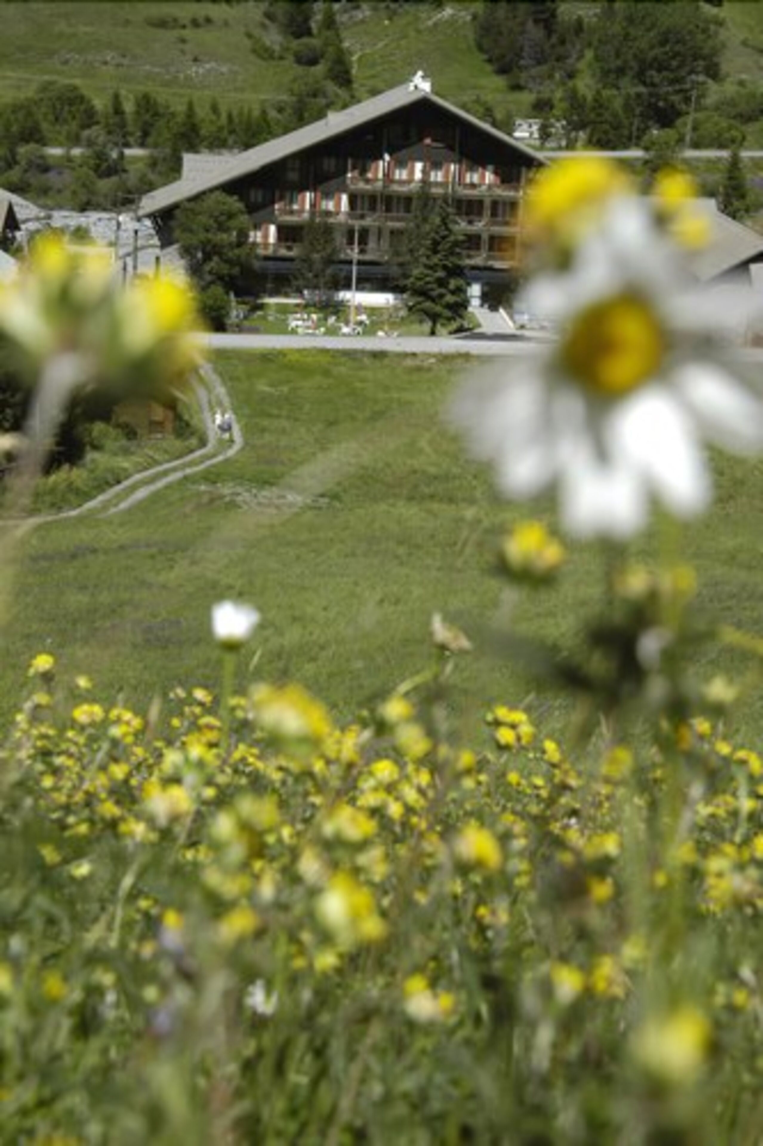 Le Fontenil