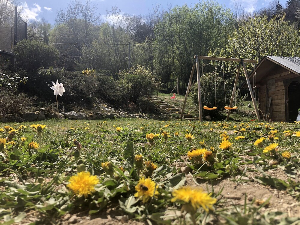L'ours Polaire