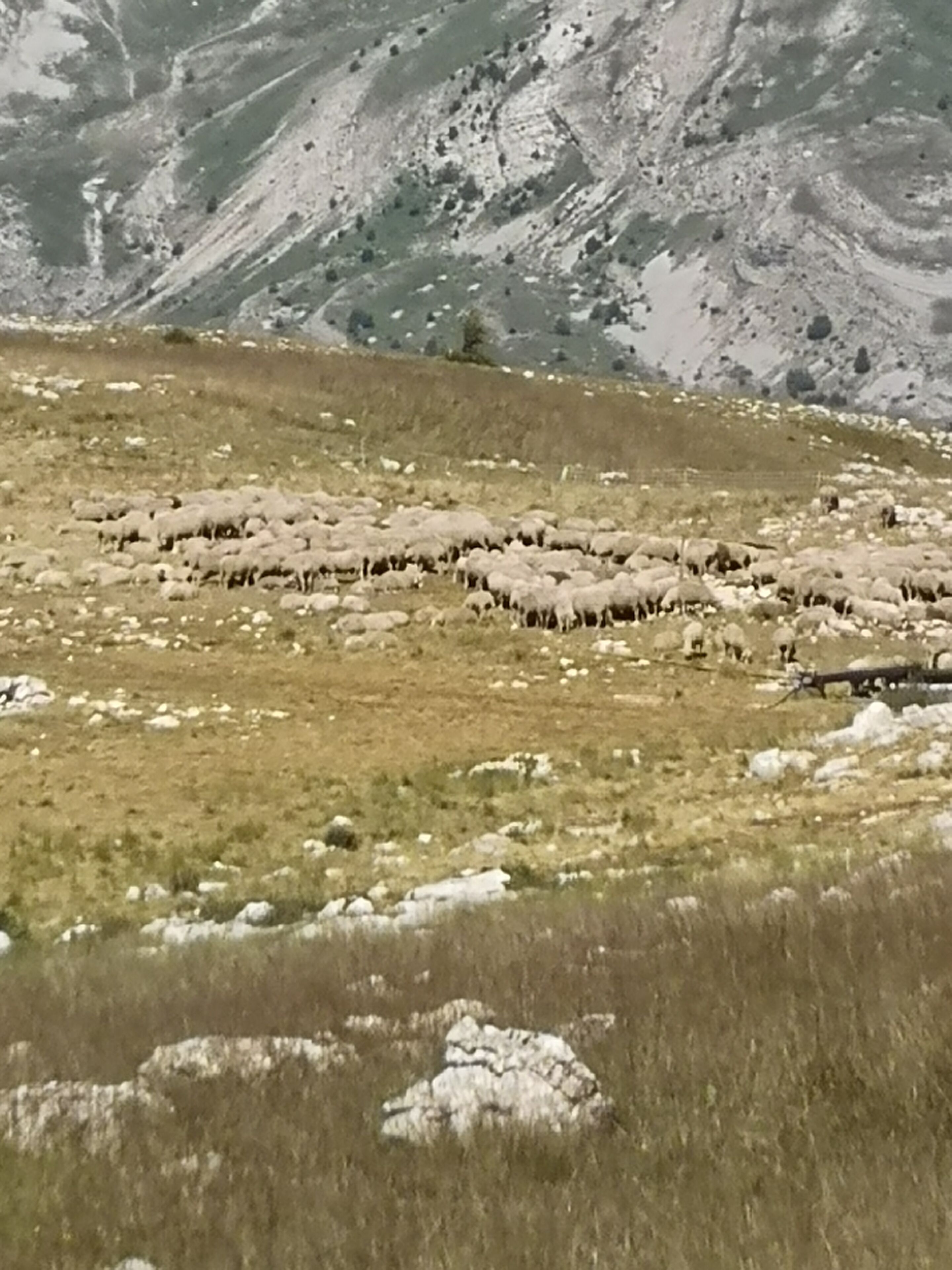 Chalet Bastilor