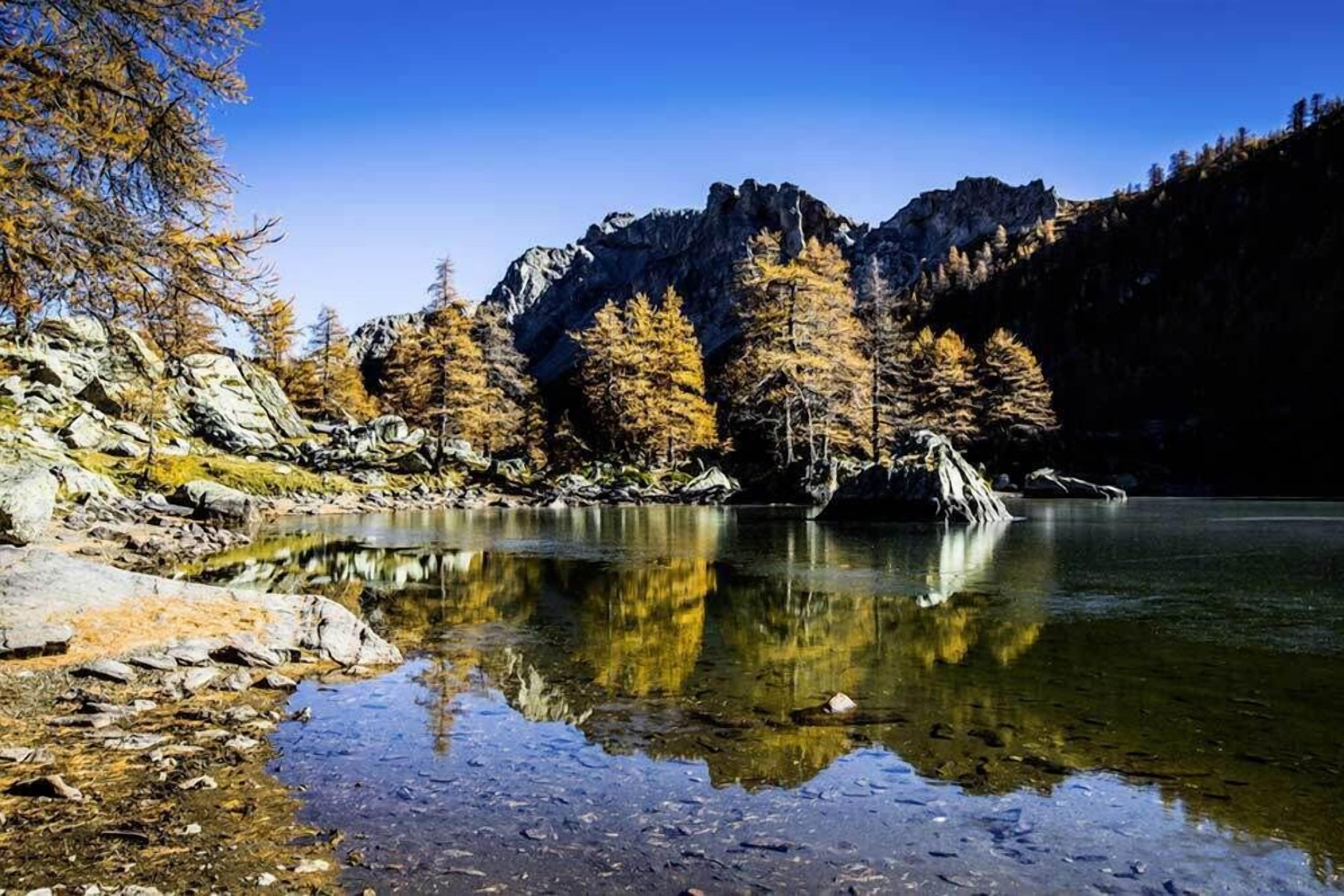 Camping Le Mas Fleuri
