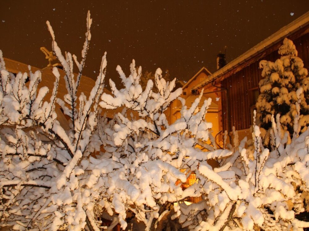 Chalet Des Eterlous Aux Pieds Des Pistes