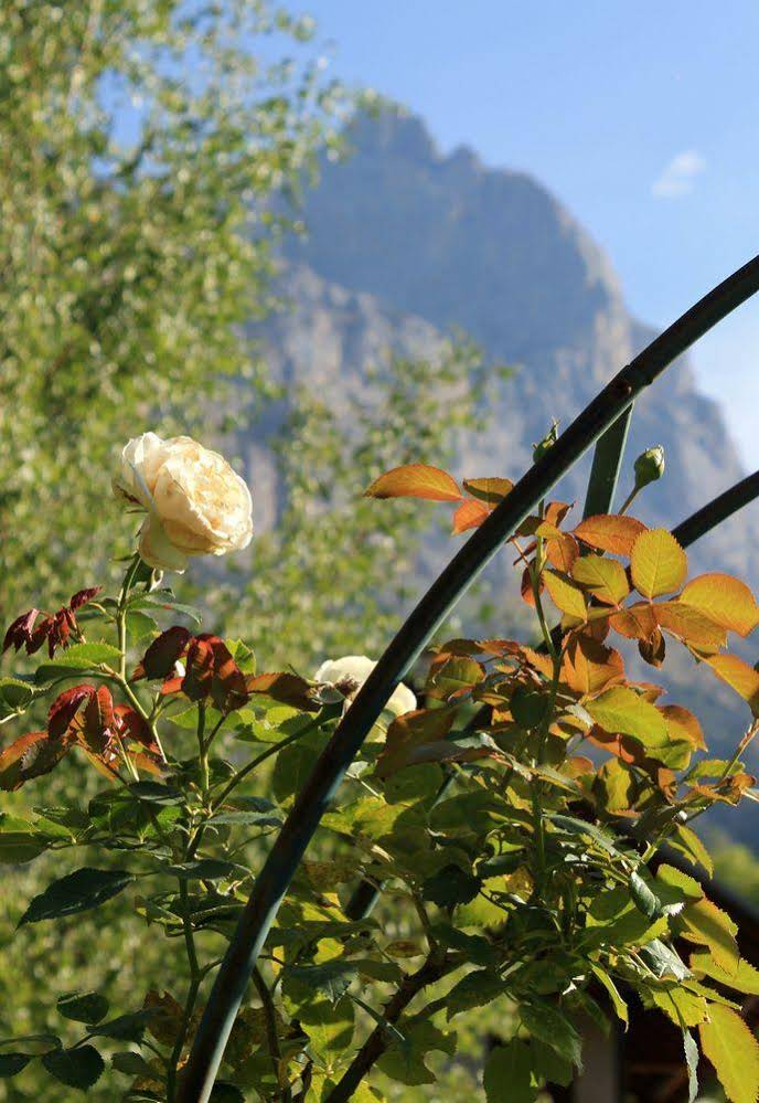 B&B La Borella Casa Conti