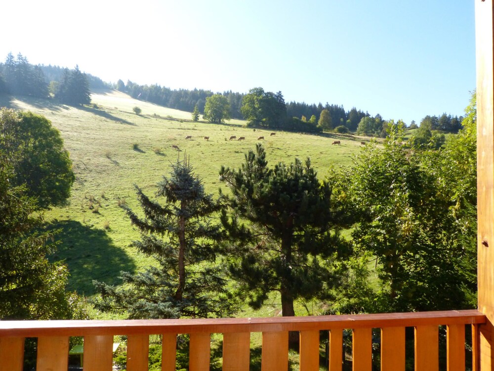 Les Gites Des Cochettes