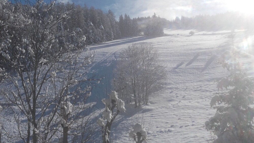 Les Gites Des Cochettes
