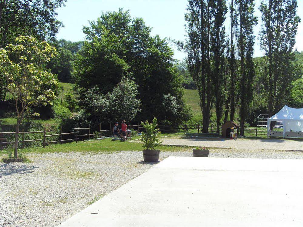 Le Centaure