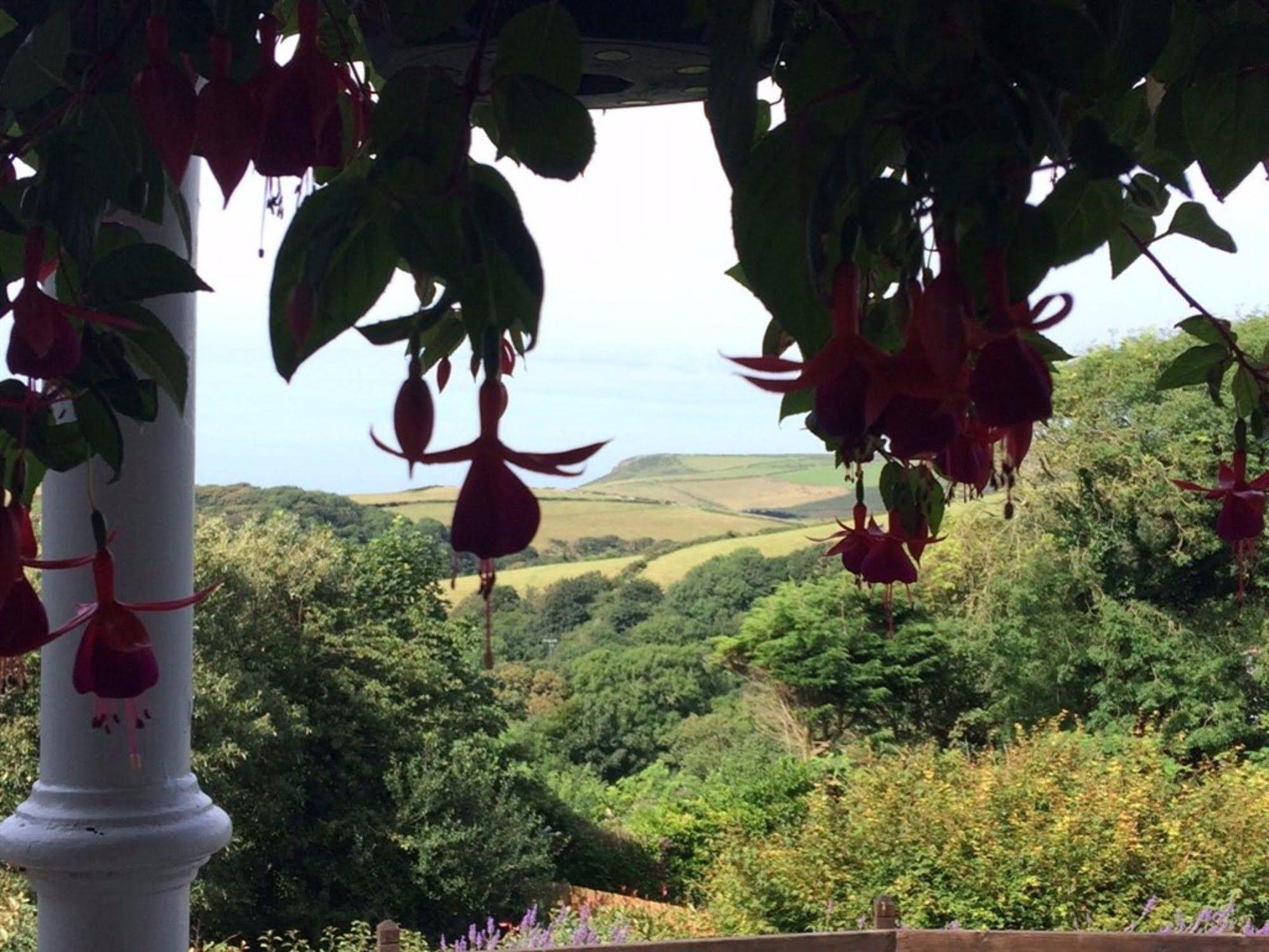 Boscastle House