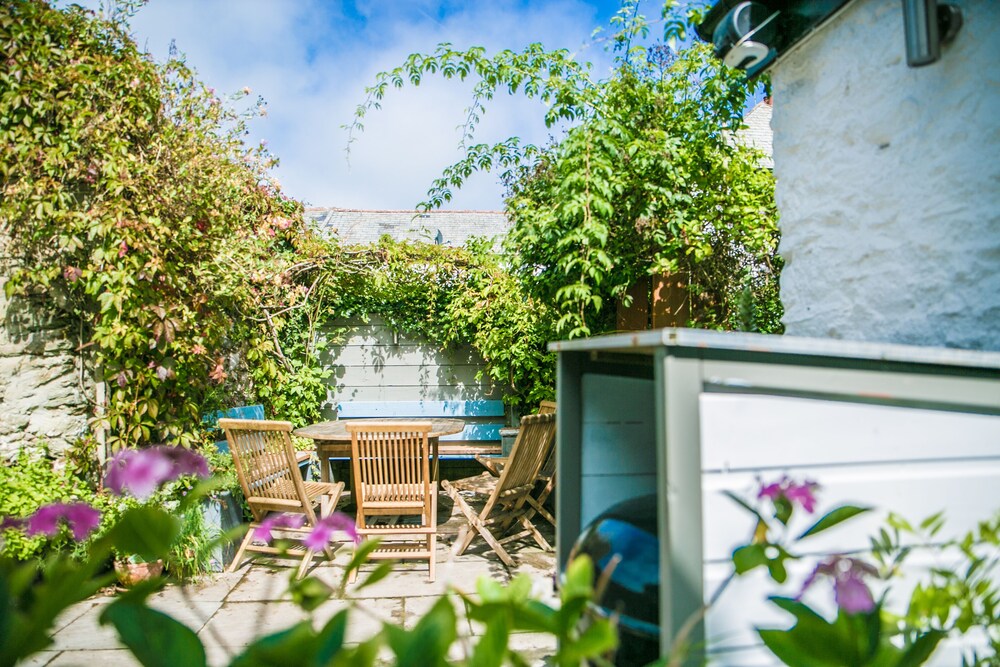 Blue Monkey Cornwall