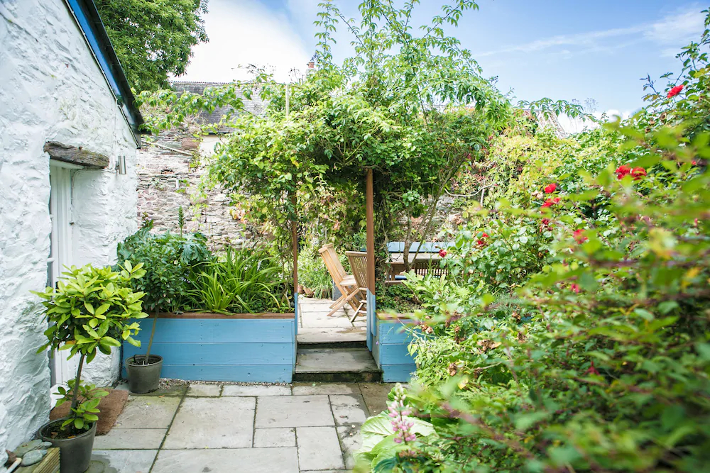 Blue Monkey Cornwall