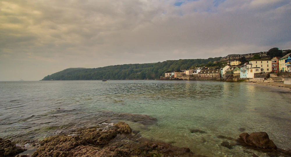 Blue Monkey Cornwall