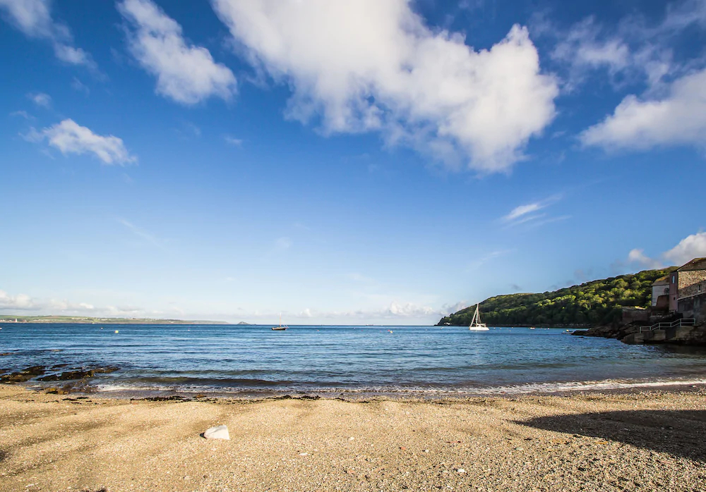 Blue Monkey Cornwall