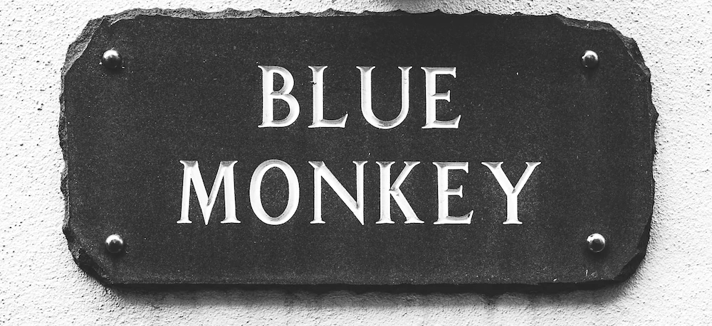 Blue Monkey Cornwall