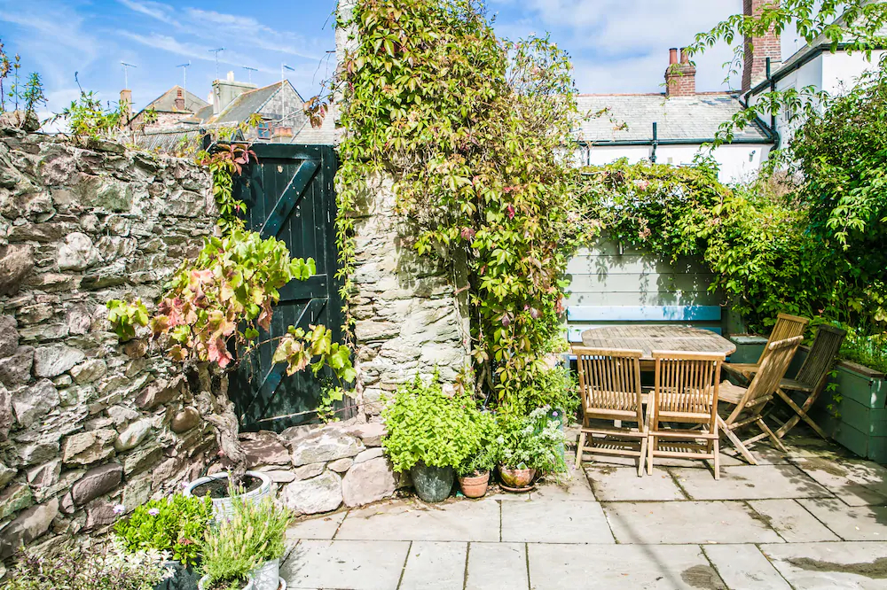 Blue Monkey Cornwall