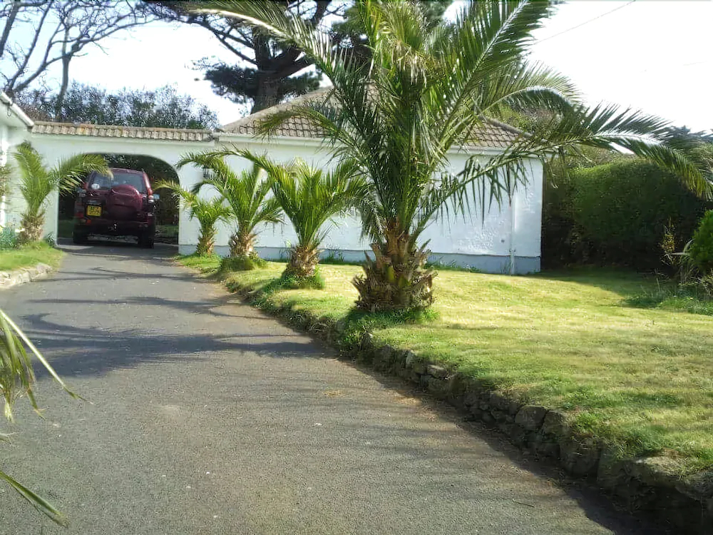Camellia Chalet