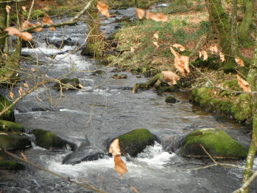 Rowan Lodge