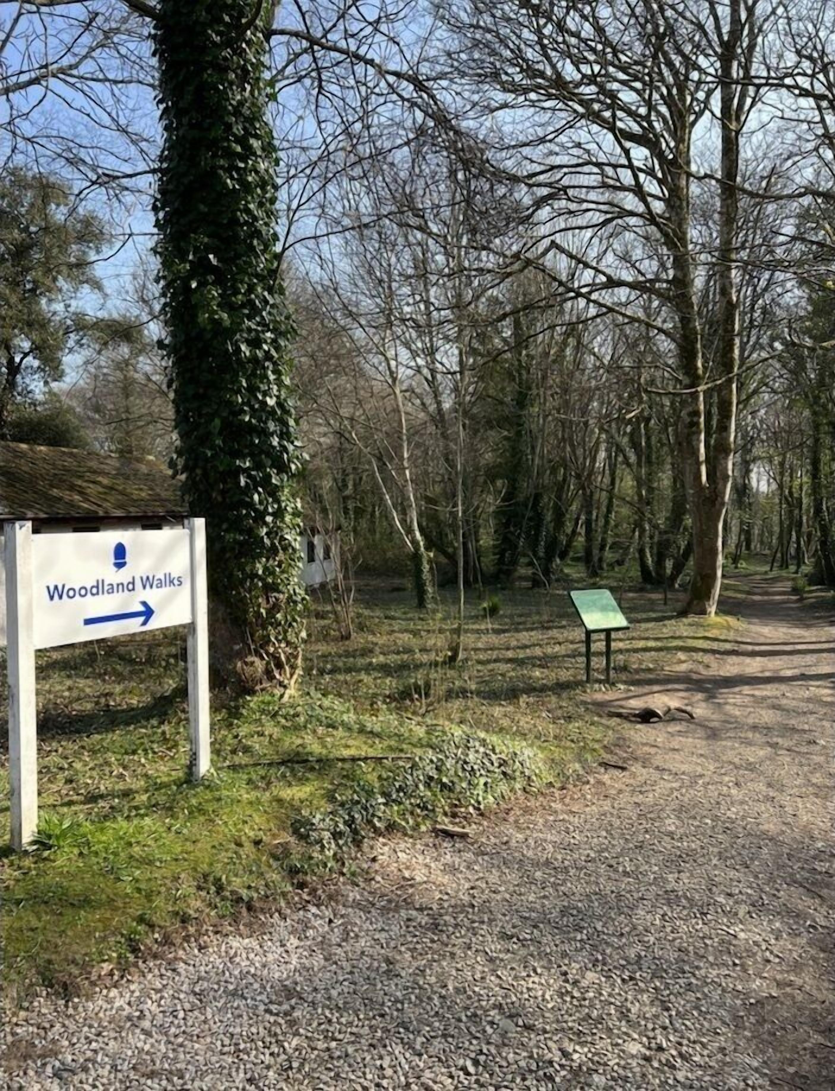 Mabel Lodge