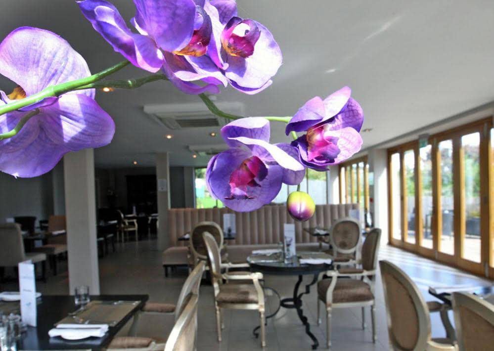 The Llawnroc Hotel