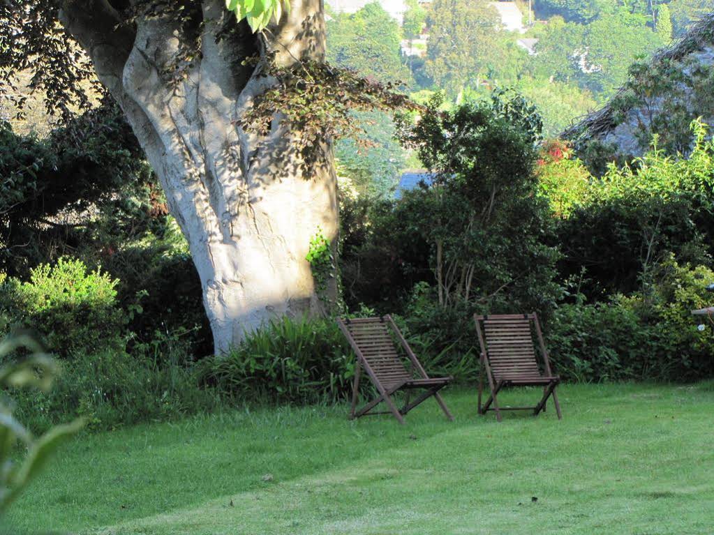 Tregarth House Bed and Breakfast