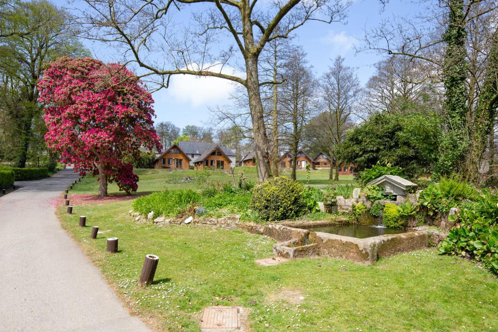 Cornish Holiday - 91 Hengar Manor