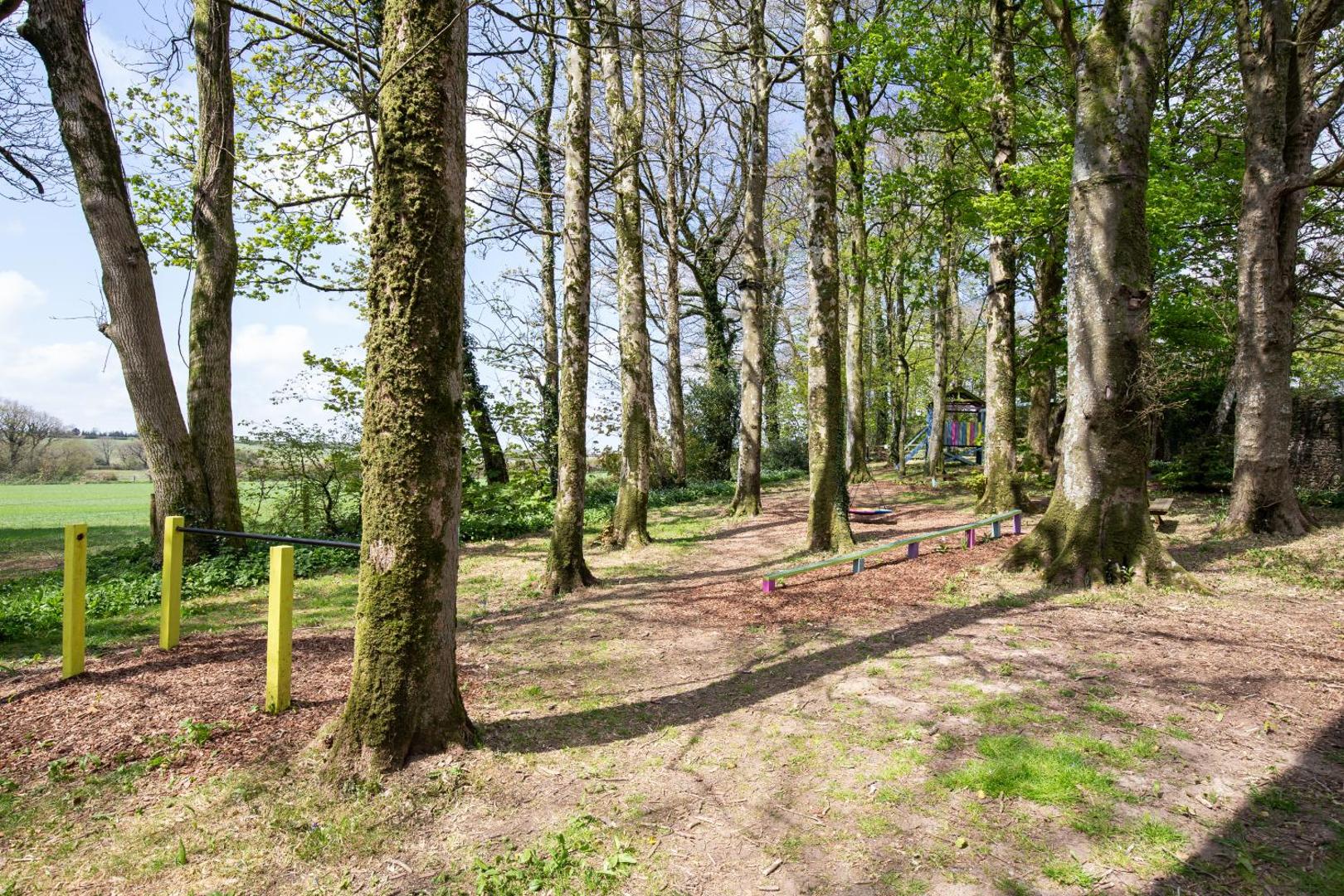 Cornish Holiday - 91 Hengar Manor