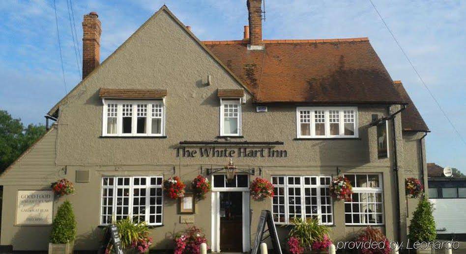 White Hart
