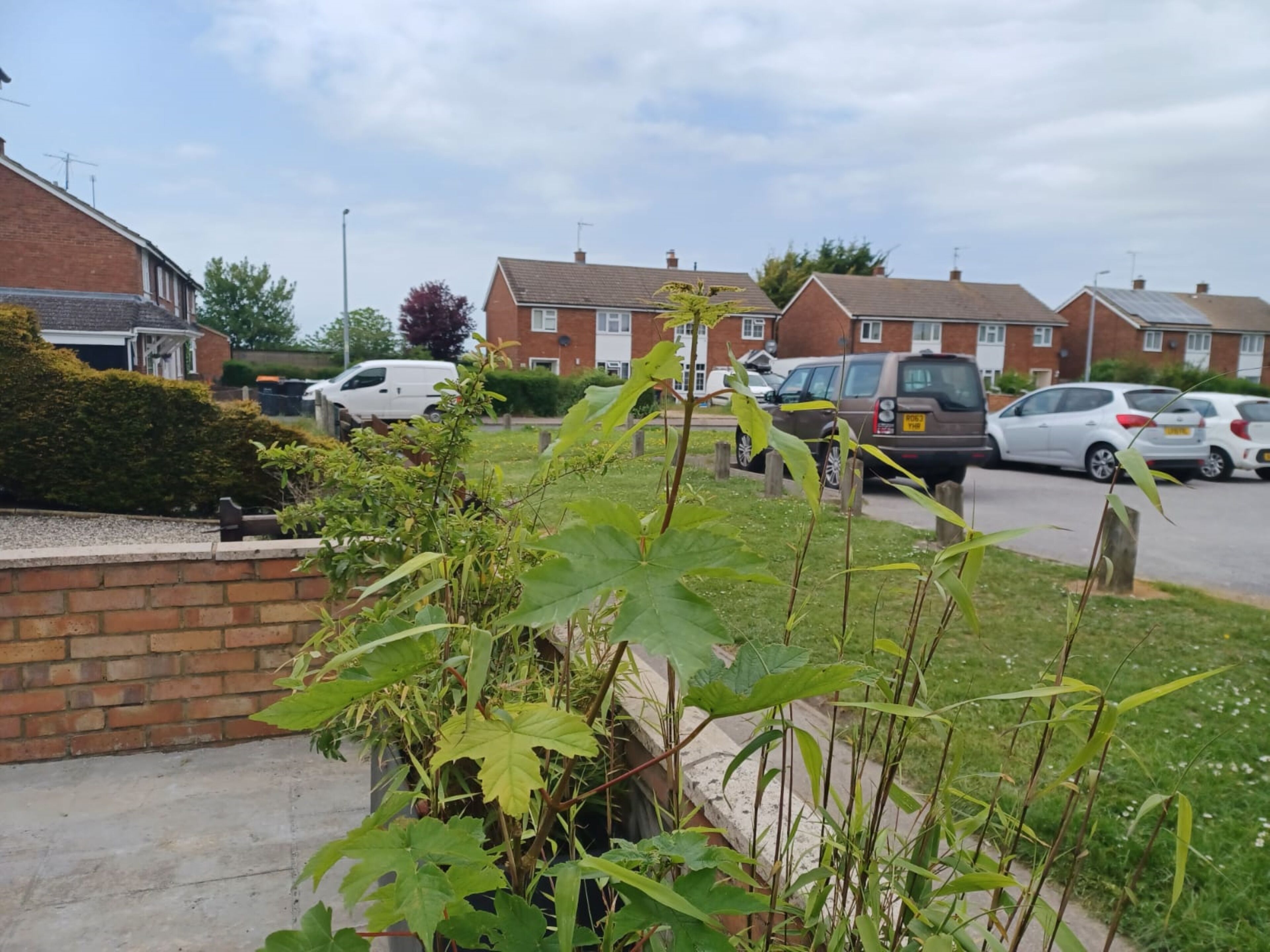 Melo House Grove Huku Kwetu