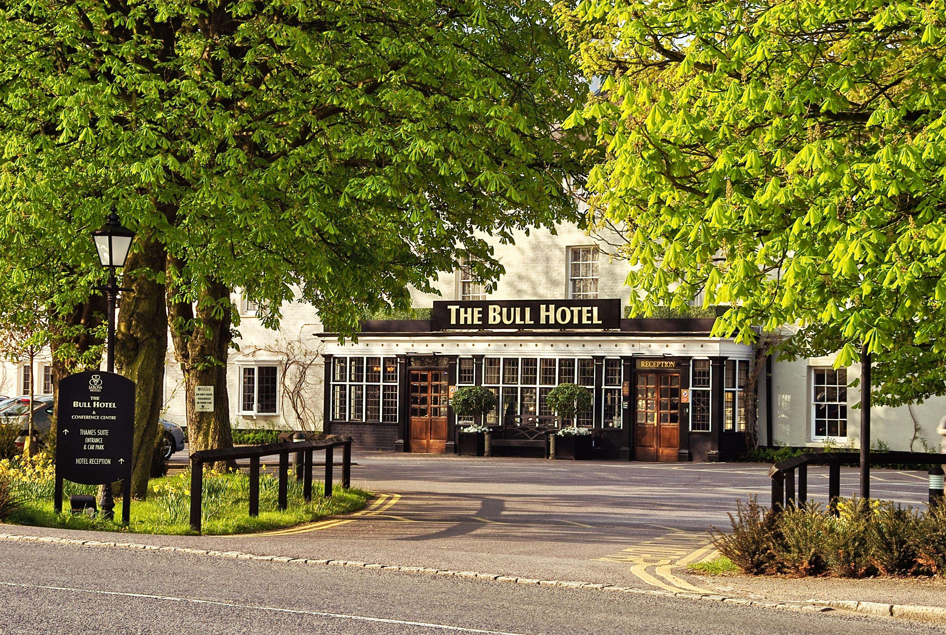 The Bull