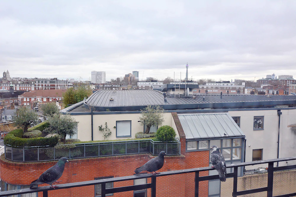 Forset Court Apartments