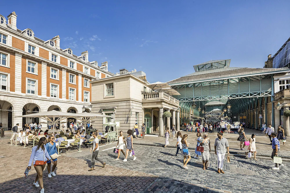 Zedwell Piccadilly