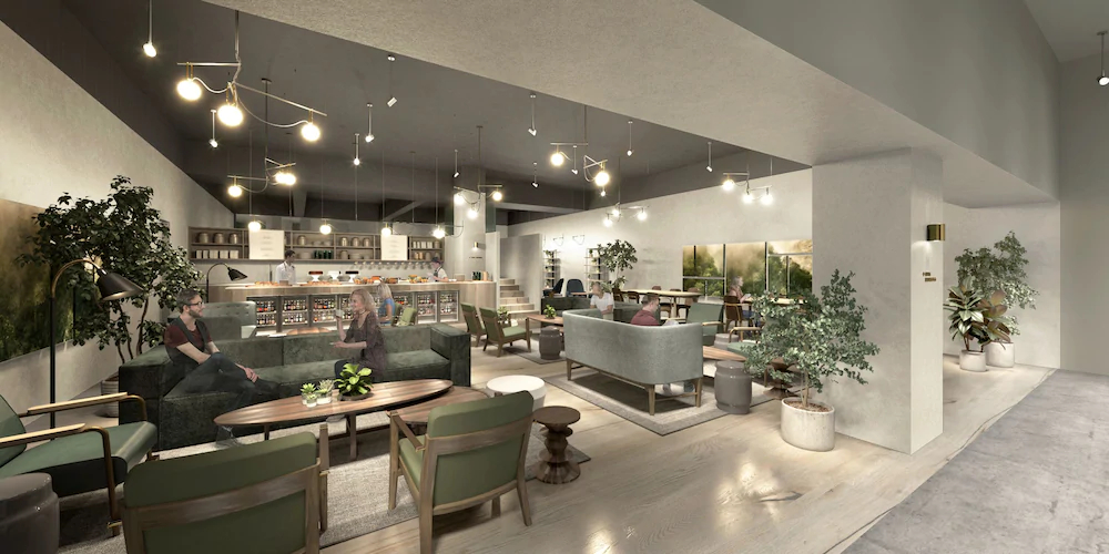 Zedwell Piccadilly
