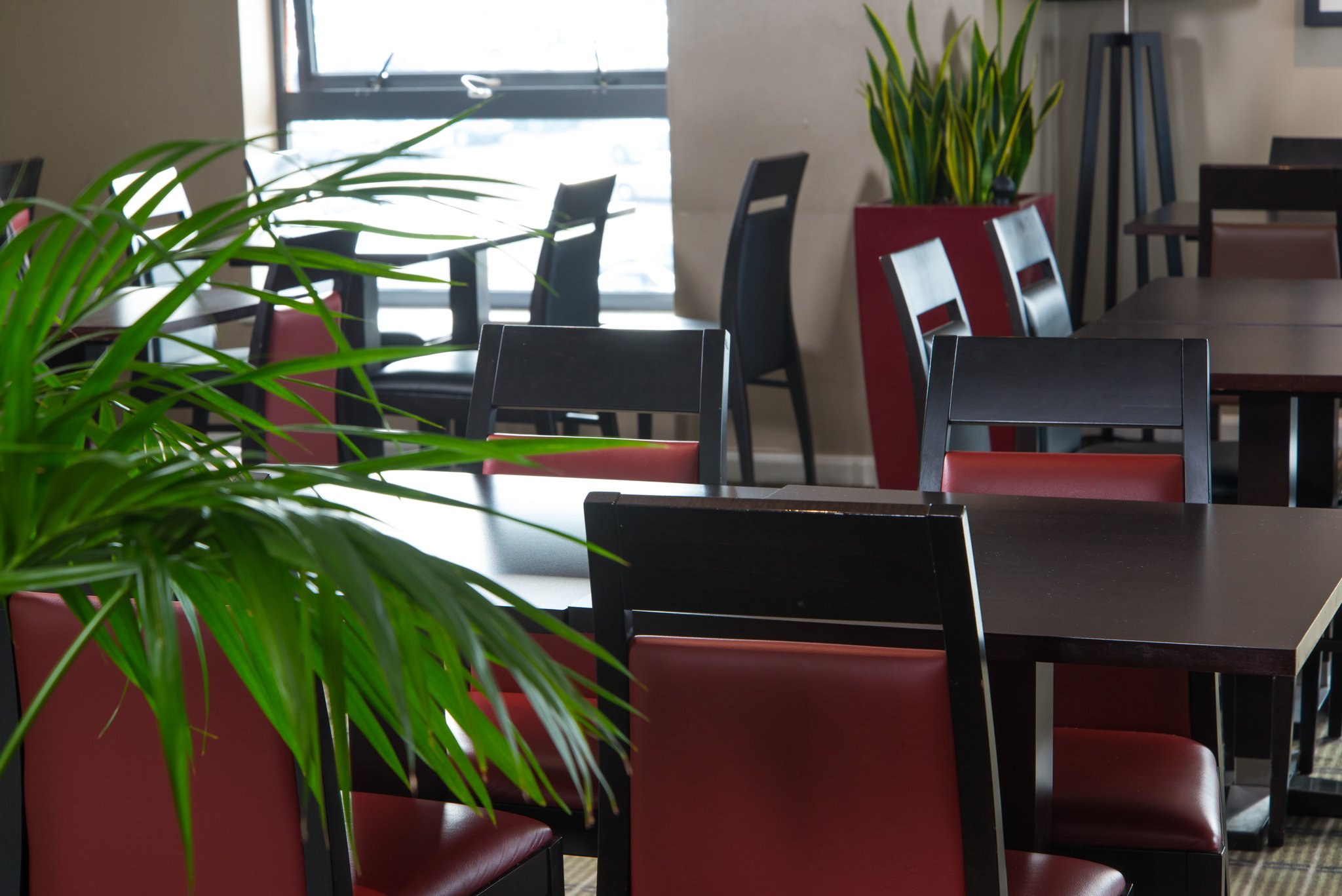 Holiday Inn Express London - Luton Airport
