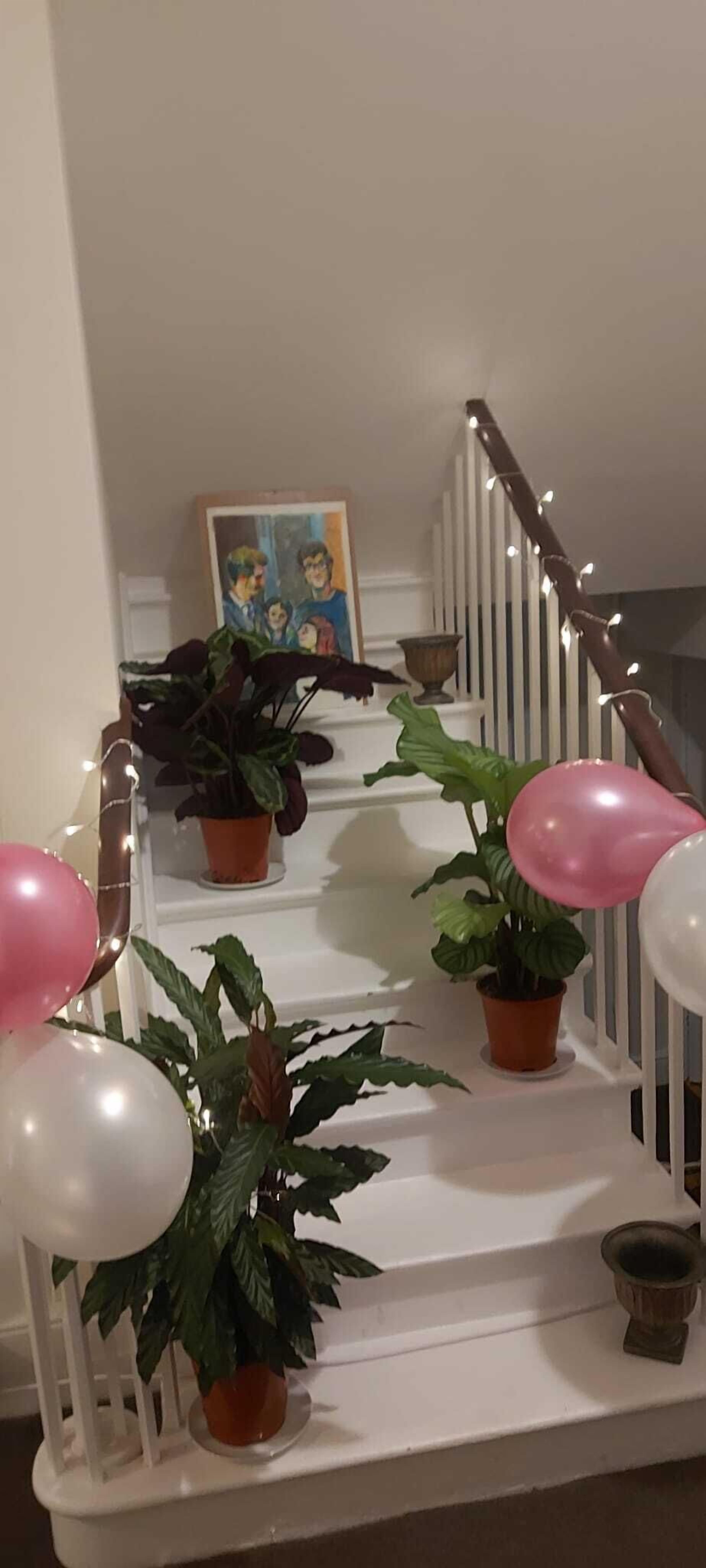 Swollows House