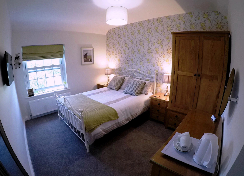 The Vine B & B