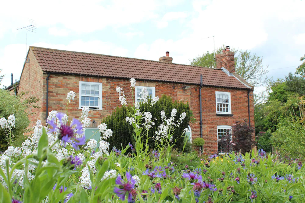 The Vine B & B