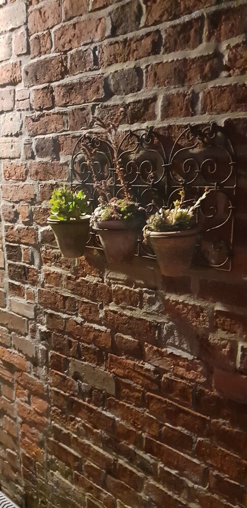 The Vine B & B