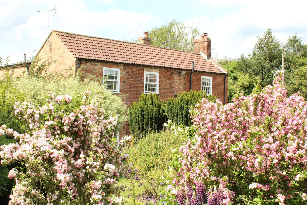 The Vine B & B