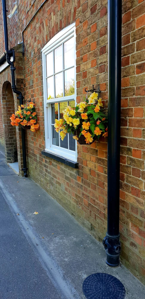 The Vine B & B