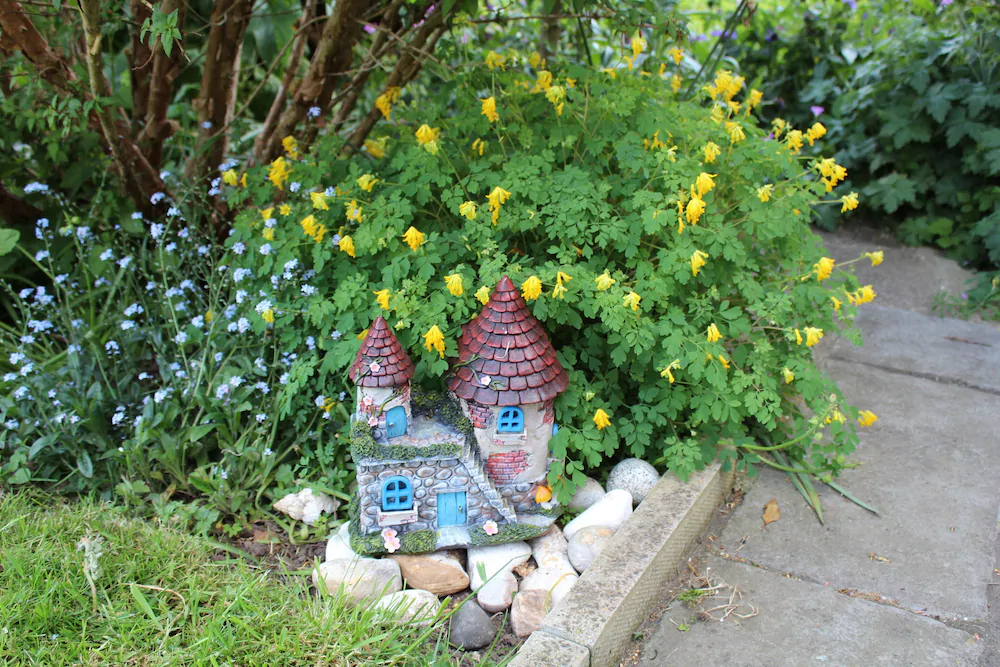 The Vine B & B