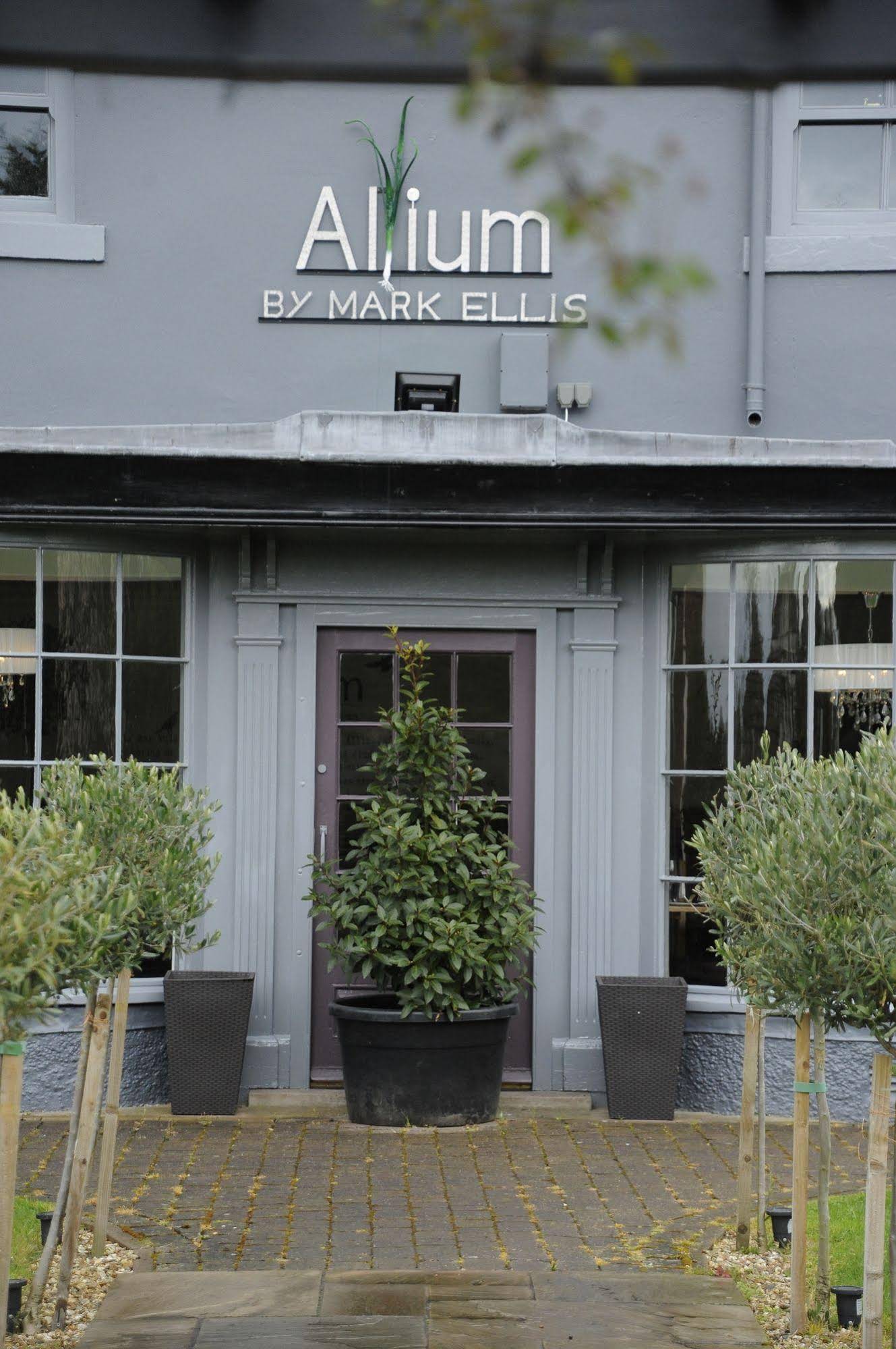 Allium by Mark Ellis