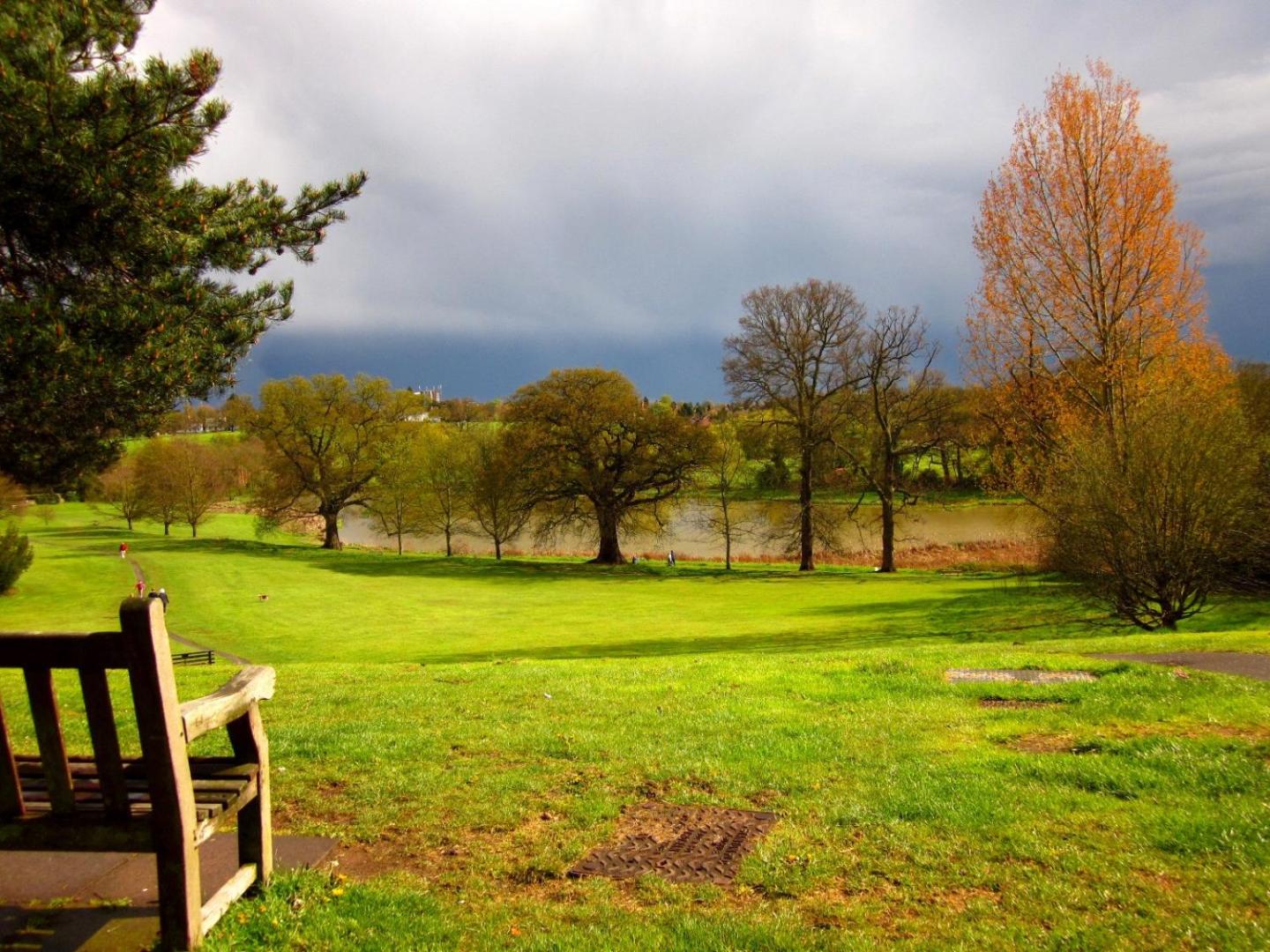 The Abbey Field