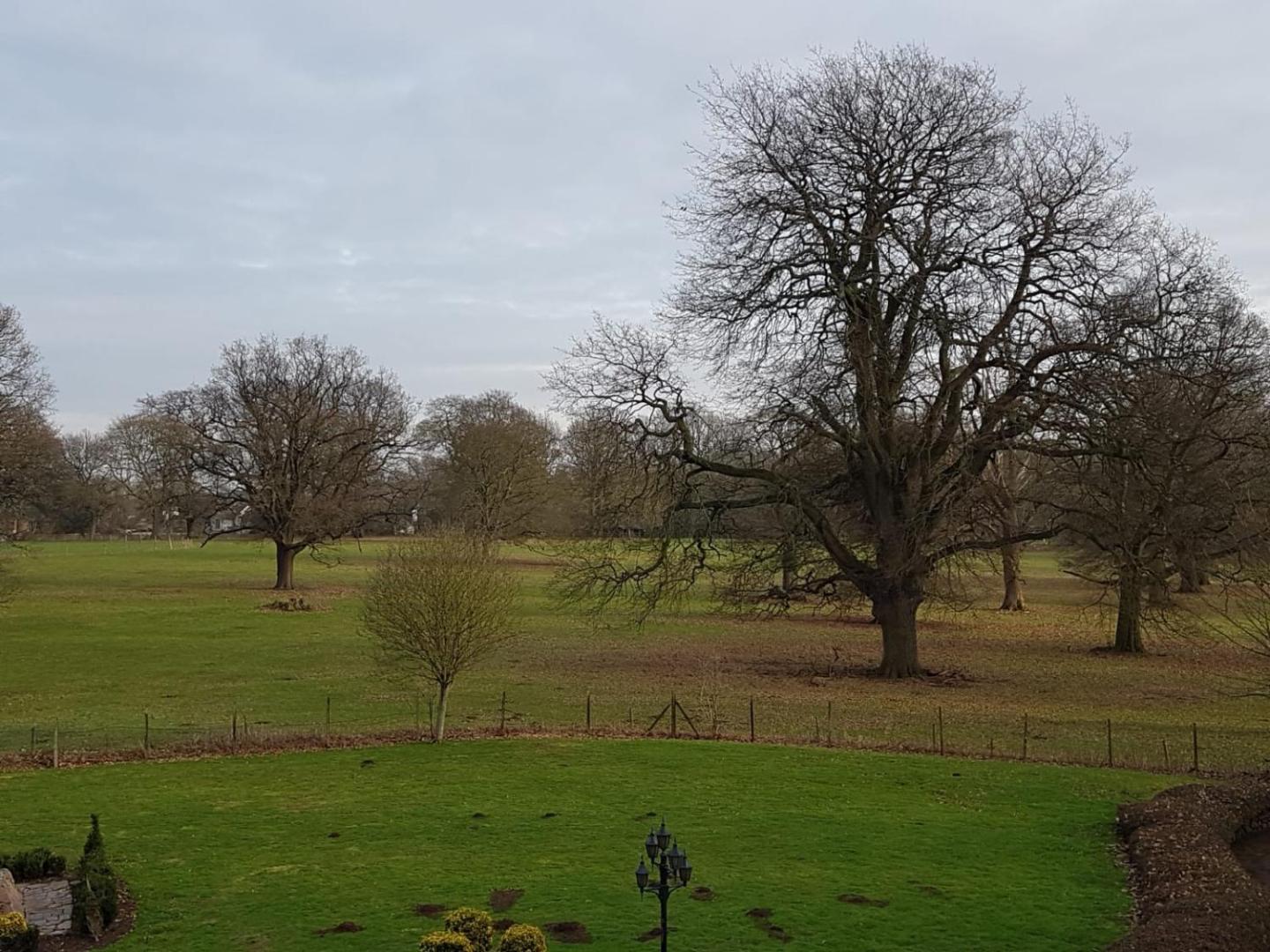 Rothley Court