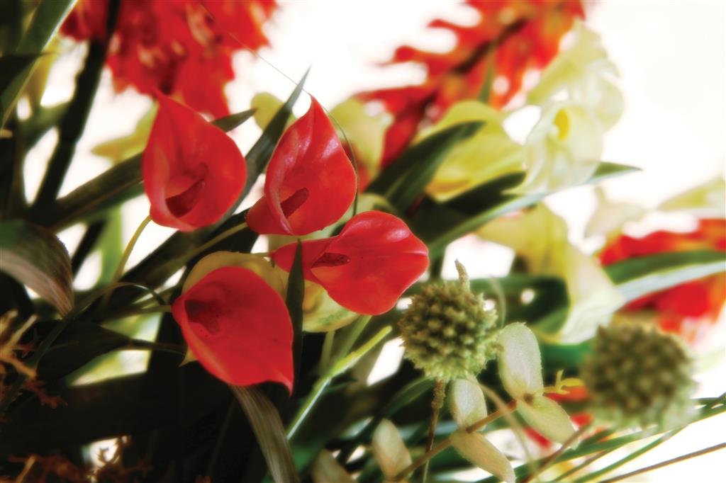 Glendower Hotel, BW Signature Collection by Best Western