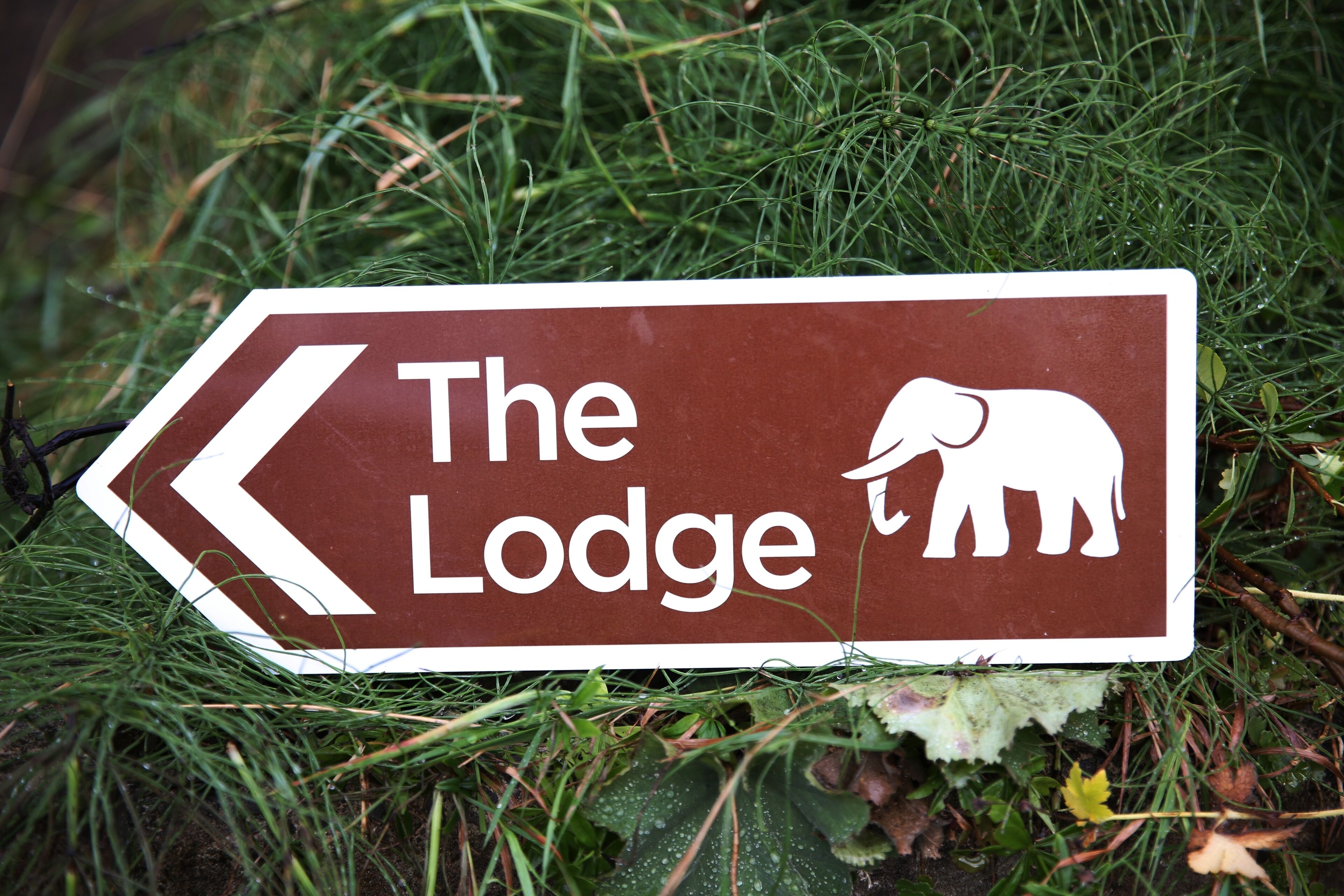 The Lodge