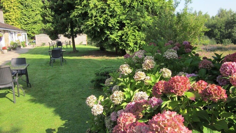 Paddocks Holiday Cottages Azalea