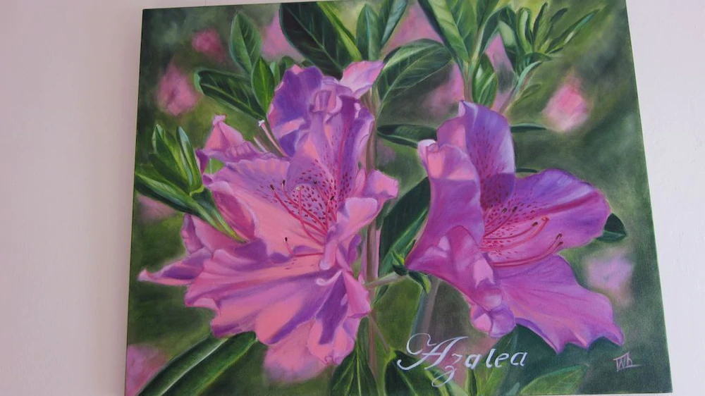 Paddocks Holiday Cottages Azalea